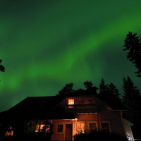 Northern lights Aurora borealis in Tampere, Finland, August 2016. Photo by Esko Pettay